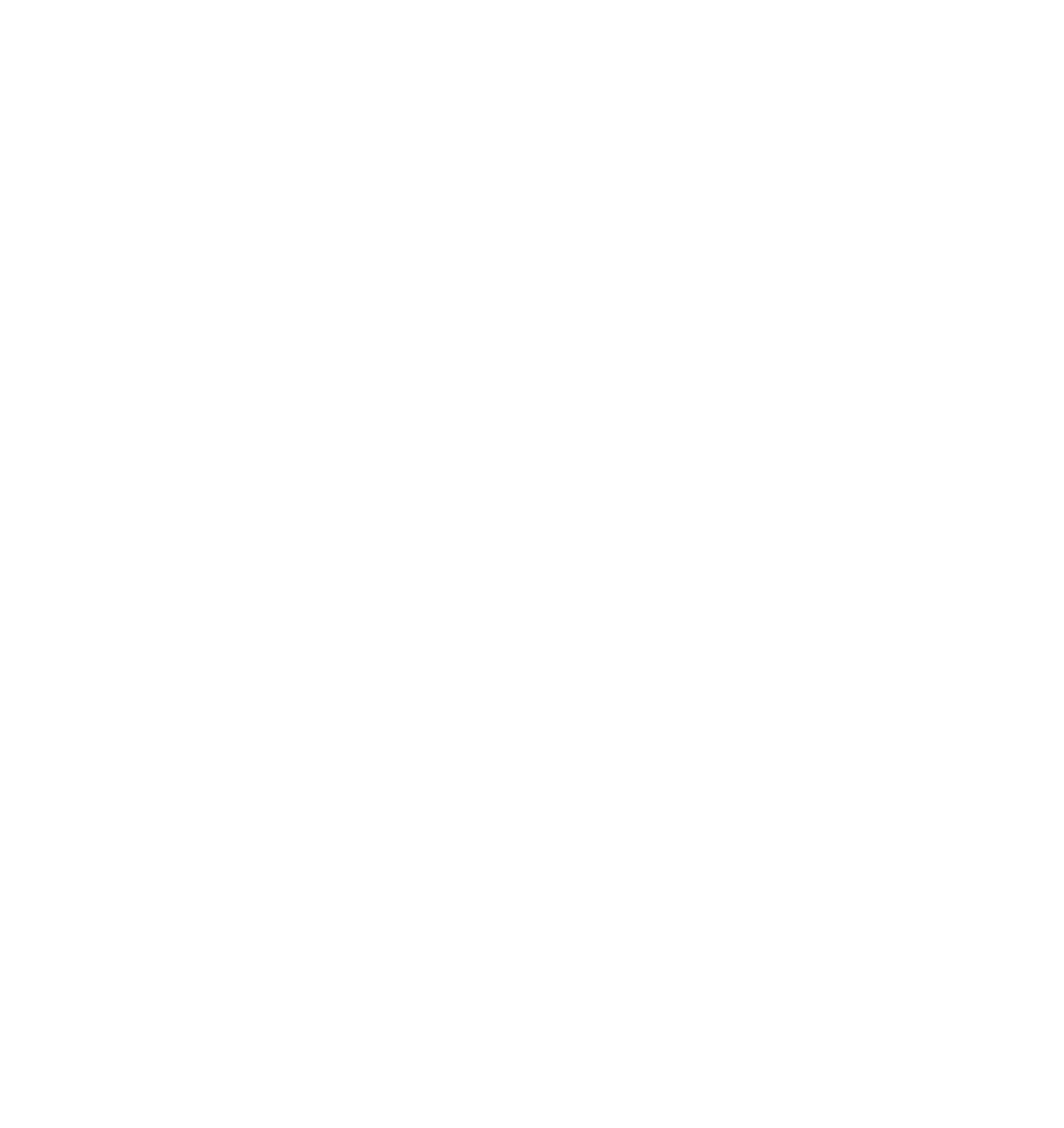Parti socialiste de Sion